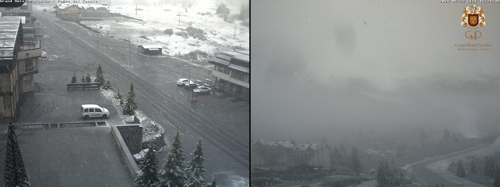 Camera Live Image